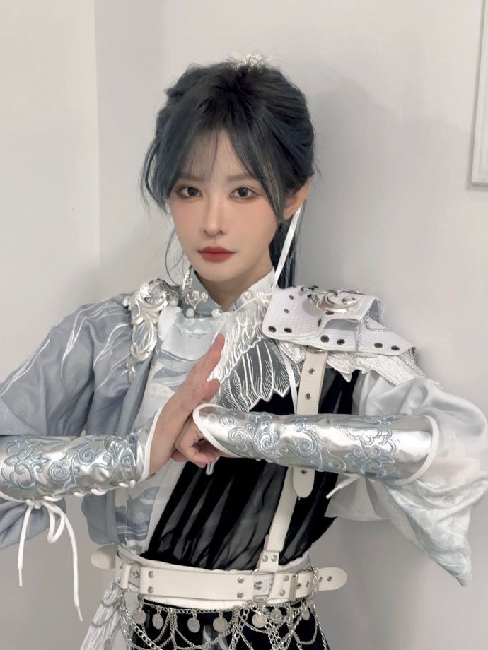 我的团长我的团 封面